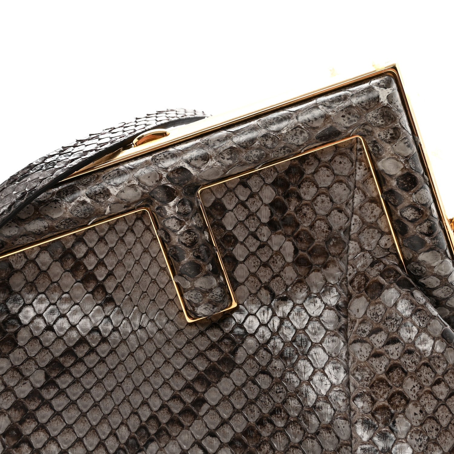 Snakeskin Small FNDI First Asfalto